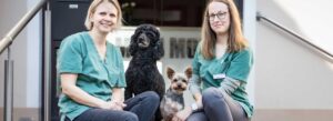 Herzlich willkommen in der Kleintierpraxis Biege in Bremen Findorff