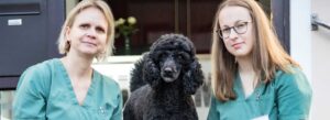 Tierärztin Dr. med. vet. Jasmin-Janina Biege in Bremen Findorff