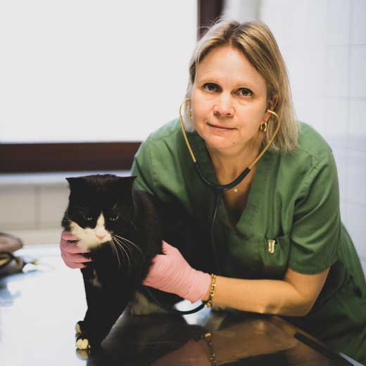 Kleintierpraxis Tierarzt Bremen Findorff - Dr. med. vet. Jasmin-Janina Biege